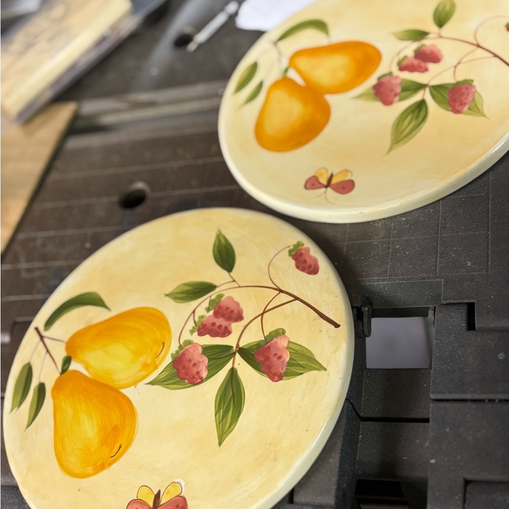 Pier 1 imports “ Province” 8” ceramic trivets set of 2